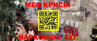 гашик Тулун