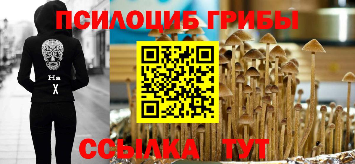 Галлюциногенные грибы MAGIC MUSHROOMS  Вход с VPN  Новосибирск 