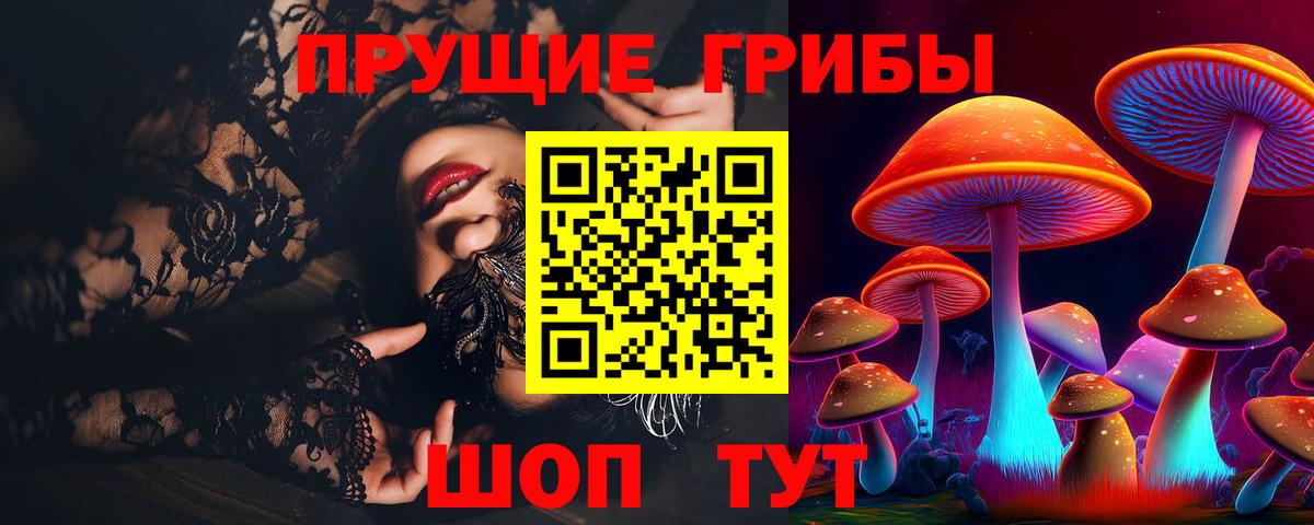 Галлюциногенные грибы мухоморы Новосибирск